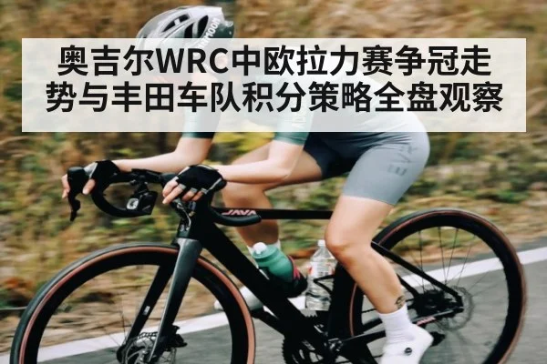 奥吉尔WRC中欧拉力赛争冠走势与丰田车队积分策略全盘观察